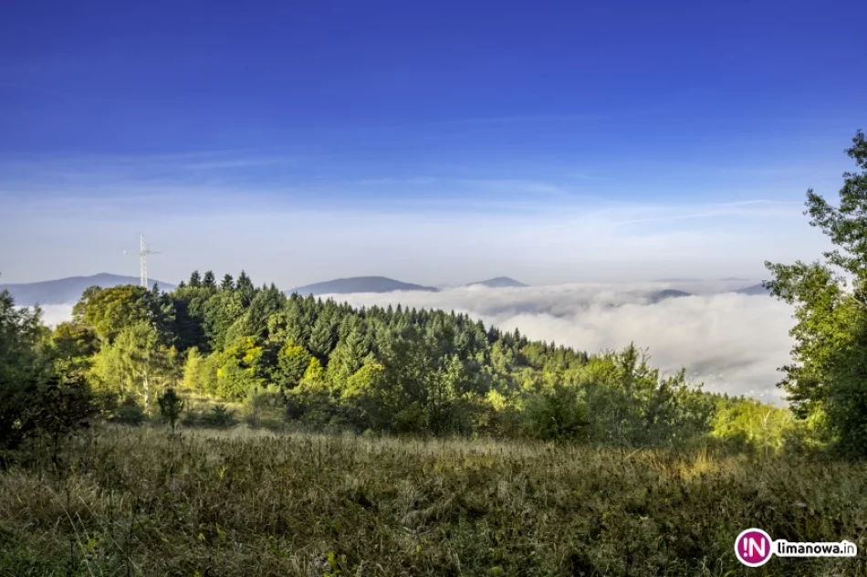 Pozostaje nazwa 'Miejska Góra', ale turystów wita... 'Chłopska' - zdjęcie 3