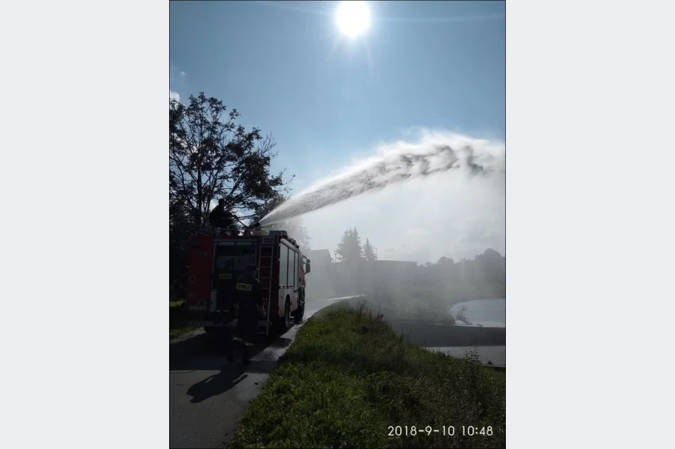 Strażacy z wizytą u przedszkolaków - zdjęcie 5