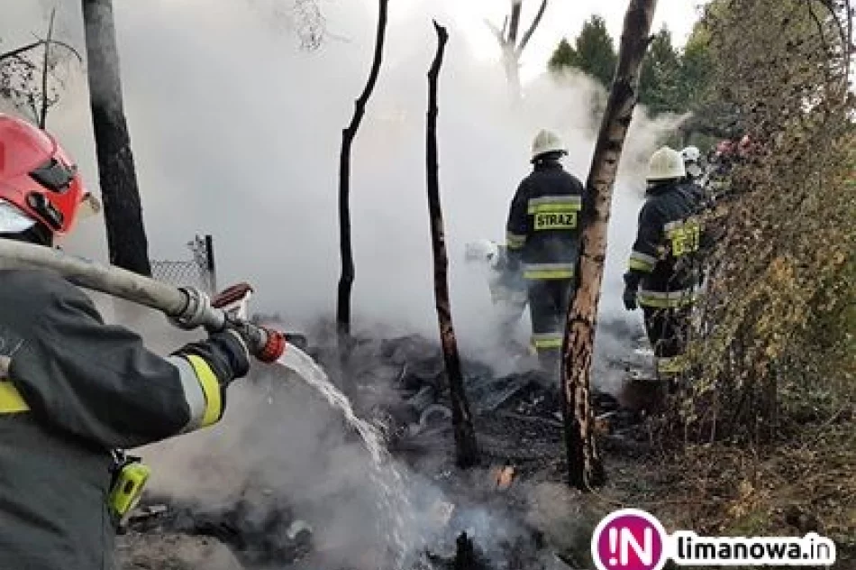 Spłonęła altana, zagrożony był dom - zdjęcie 2