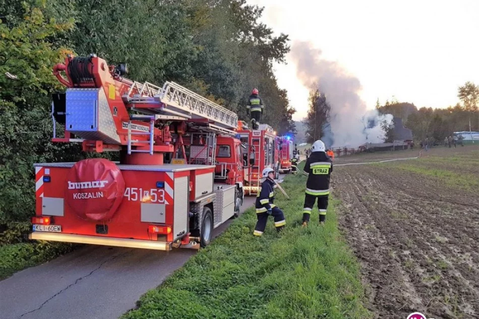 Spłonęła altana, zagrożony był dom - zdjęcie 4
