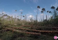 Rekordowa zbiórka - 1,3 mln zł dla poszkodowanych w sierpniowych nawałnicach - zdjęcie główne