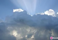 4,3 tys. kotłów w subregionie będzie wymienionych - zdjęcie główne