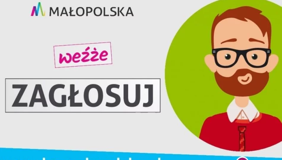 BO Małopolska: weźże zagłosuj! - zdjęcie 1