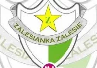 Kolejarz z Zalesia odjechał bez punktów - zdjęcie główne