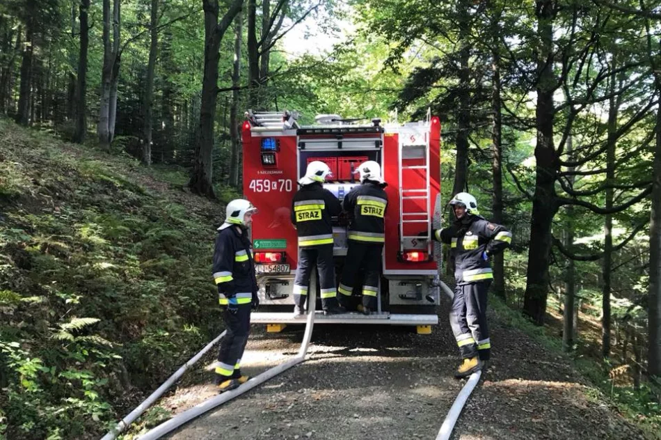 Ćwiczenia ratowniczo-gaśnicze w schronisku - zdjęcie 5
