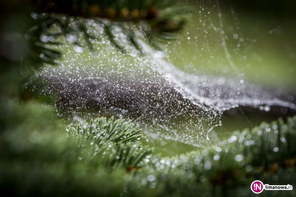 Rozpoczyna się astronomiczna jesień - zdjęcie 4