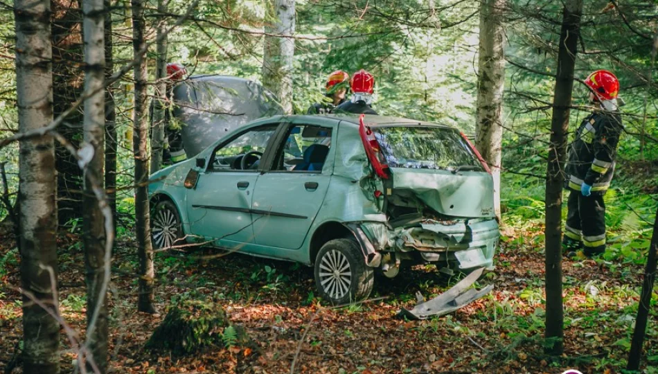Fiat wypadł z drogi i wjechał do lasu. Dwie osoby trafiły do szpitala - zdjęcie 1