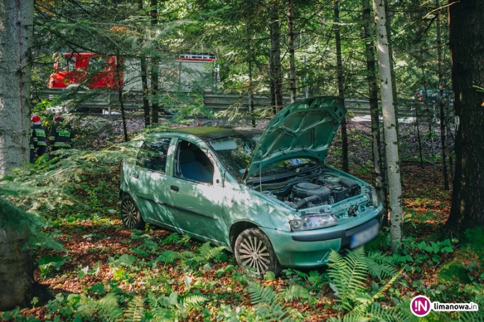 Fiat wypadł z drogi i wjechał do lasu. Dwie osoby trafiły do szpitala - zdjęcie 2