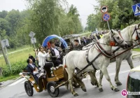 Centralne uroczystości odpustowe i doroczna pielgrzymka Romów - zdjęcie główne