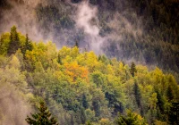 Jutro zacznie się astronomiczna jesień - zdjęcie główne