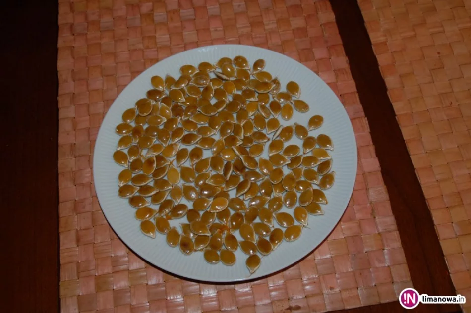 Kto mi da cynk…? - zdjęcie 4