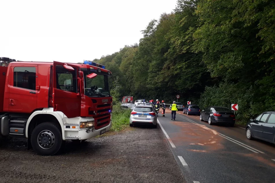 Trzy osoby trafiły do szpitala po zderzeniu na drodze wojewódzkiej - zdjęcie 6
