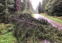 Ponad 30 interwencji straży i uszkodzone linie energetyczne - zdjęcie główne