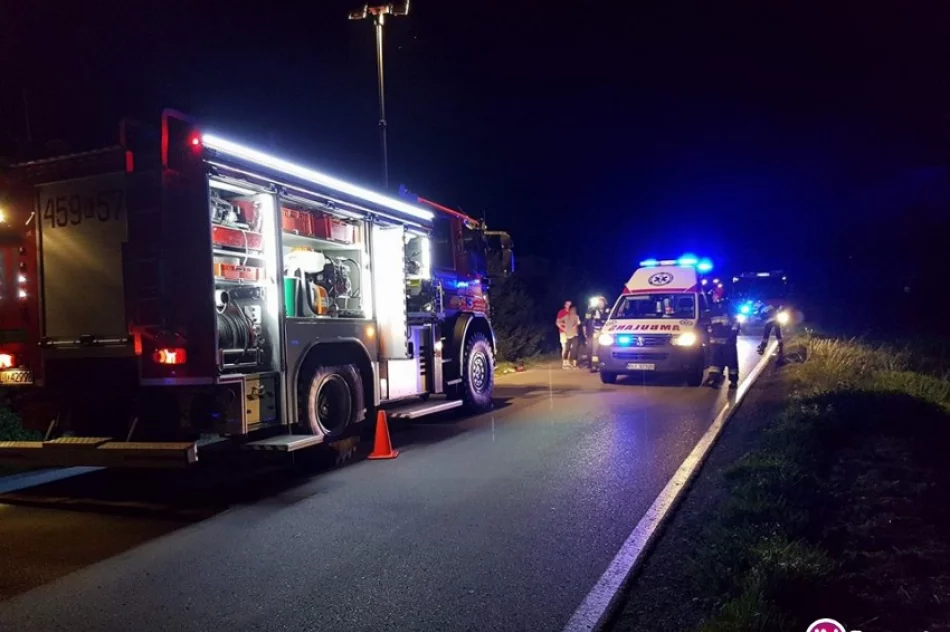 Dachowanie Peugeota. Wyglądało groźnie, na szczęście 22-latce nic się nie stało - zdjęcie 4