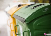 Ktoś próbował zabić królika i zdychające zwierze wrzucił do śmietnika - zdjęcie główne