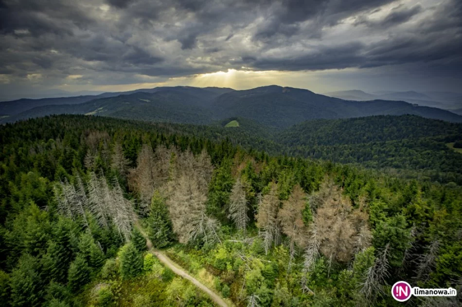 Ostrzeżenie: intensywne opady deszczu - zdjęcie 4