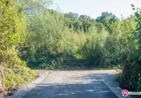 Nowy asfalt kończy się w zaroślach. Z drogi za 116 tys. zł korzysta burmistrz - zdjęcie główne