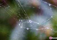 IMiGW ostrzega: może spaść do 75 litrów deszczu na m2 - zdjęcie główne