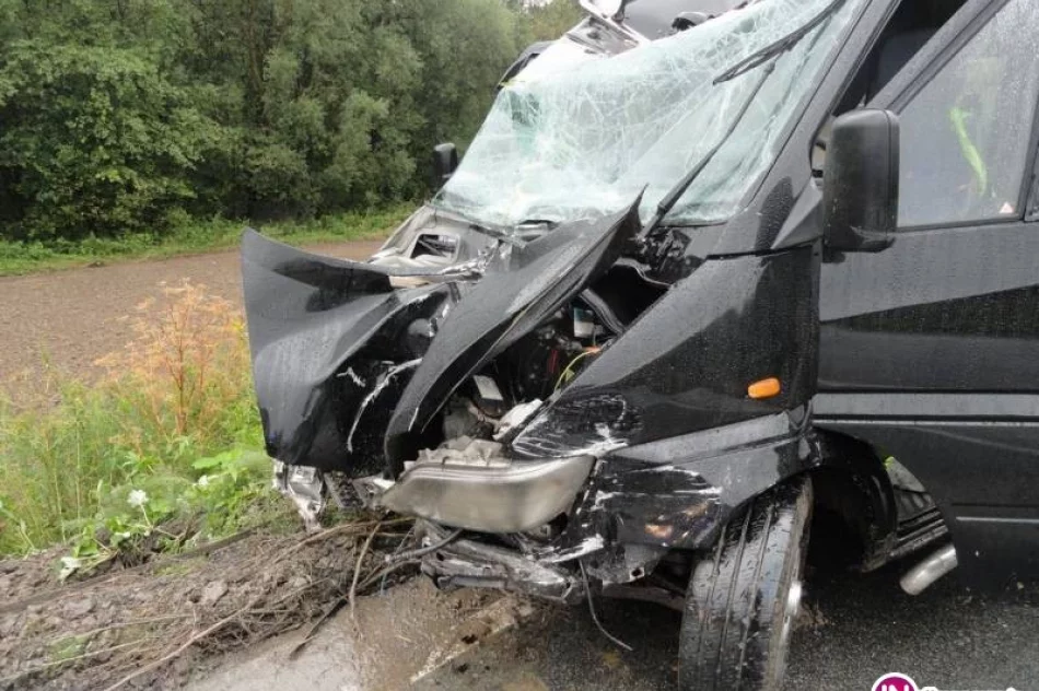 Jedna osoba nie żyje, sześć jest rannych. Wracali z wesela w Limanowej - zdjęcie 4