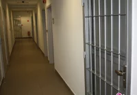 Zaciągnęli psa do lasu i próbowali zabić siekierą. Zwierze zdołało uciec, dwaj pijani zwyrodnialcy trafili do aresztu - zdjęcie główne