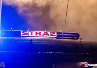 Strażacy na pomoc krowie, która wpadła do potoku - zdjęcie główne