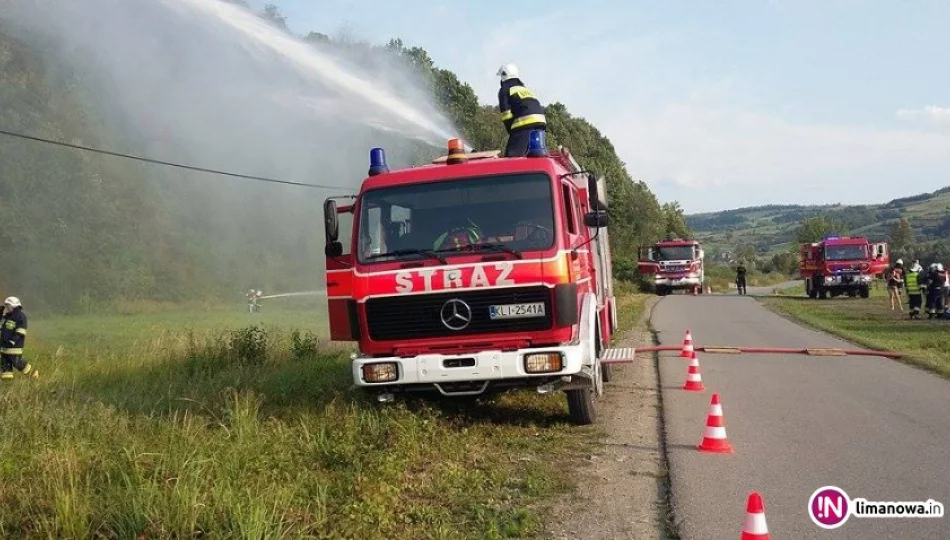 Wypadek awionetki i pożar lasu - strażackie ćwiczenia - zdjęcie 1