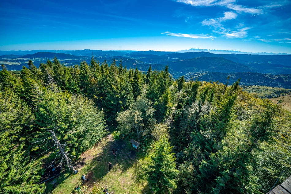 Początek jesieni 2018 na Mogielicy - zdjęcie 13