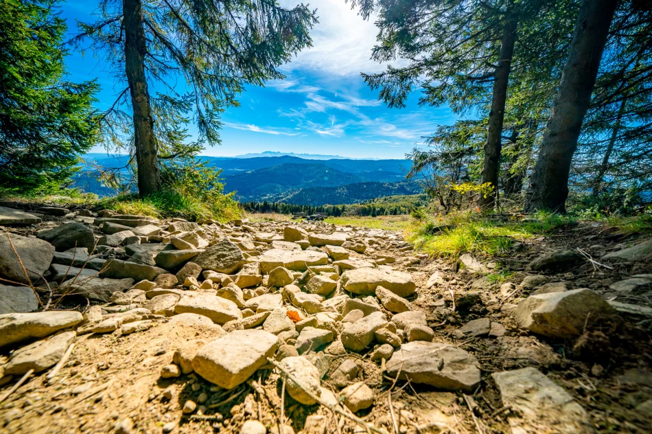 Początek jesieni 2018 na Mogielicy - zdjęcie 17