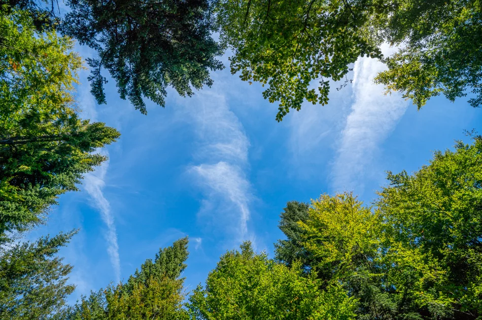 Piękna Mogielica, ale pełna... śmieci - zdjęcie 4