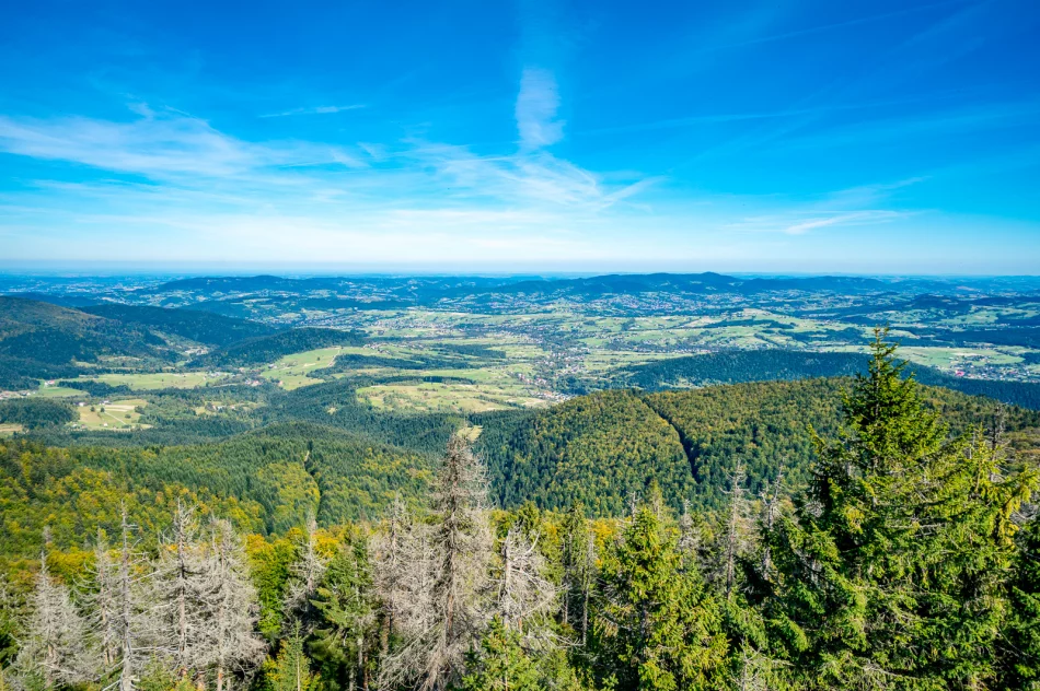 Piękna Mogielica, ale pełna... śmieci - zdjęcie 13