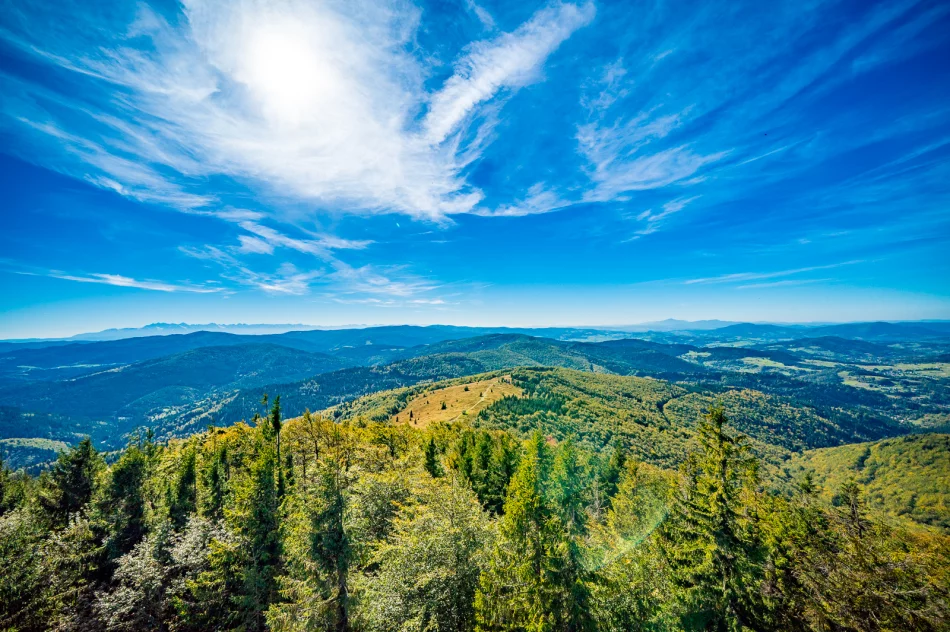 Piękna Mogielica, ale pełna... śmieci - zdjęcie 15
