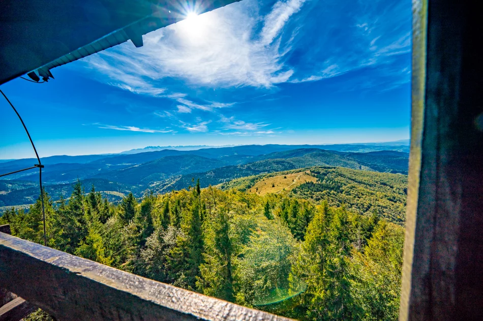 Piękna Mogielica, ale pełna... śmieci - zdjęcie 16