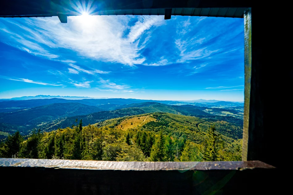 Piękna Mogielica, ale pełna... śmieci - zdjęcie 17