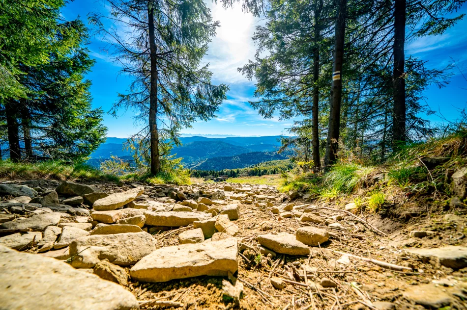 Piękna Mogielica, ale pełna... śmieci - zdjęcie 19