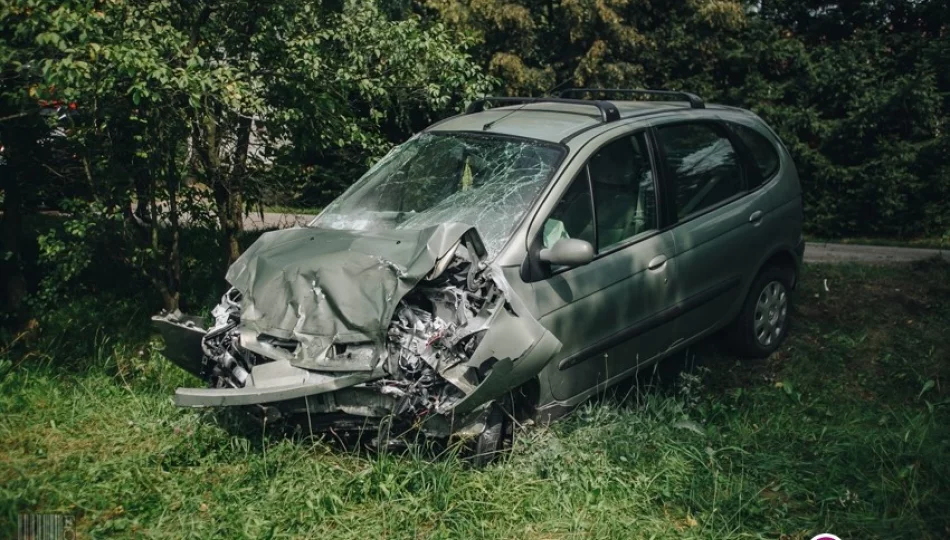 Renault wypadło z jezdni i uderzyło w przydrożne drzewo - zdjęcie 1
