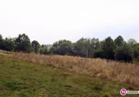 Wójt apeluje o wykaszanie traw i niszczenie chwastów - zdjęcie główne