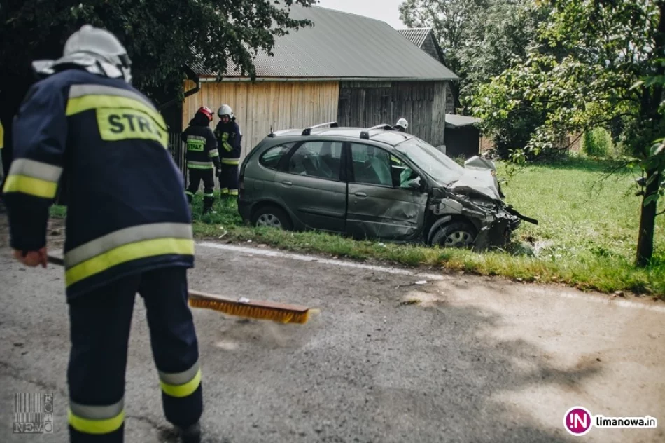 Renault wypadło z jezdni i uderzyło w przydrożne drzewo - zdjęcie 2