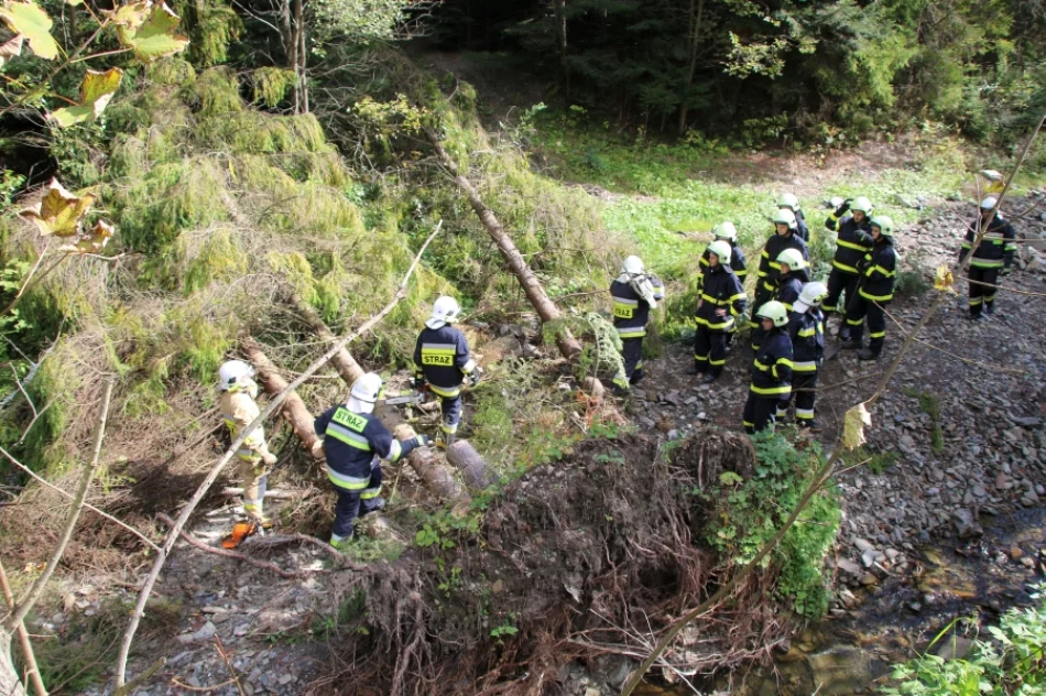 Polsko-słowackie ćwiczenia jednostek strażackich - zdjęcie 5