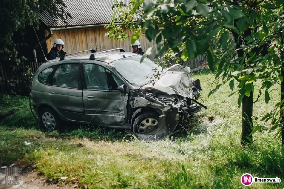 Renault wypadło z jezdni i uderzyło w przydrożne drzewo - zdjęcie 3