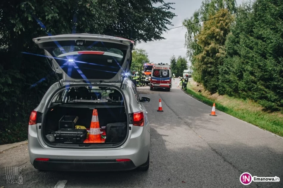 Renault wypadło z jezdni i uderzyło w przydrożne drzewo - zdjęcie 4