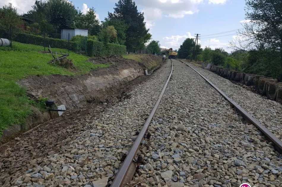 Prace na torowisku do końca tygodnia. Ruch będzie przywrócony - zdjęcie 2