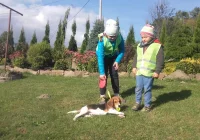 Akcja „Odblaskowe zwierzęta domowe” w Pasierbcu  - zdjęcie główne