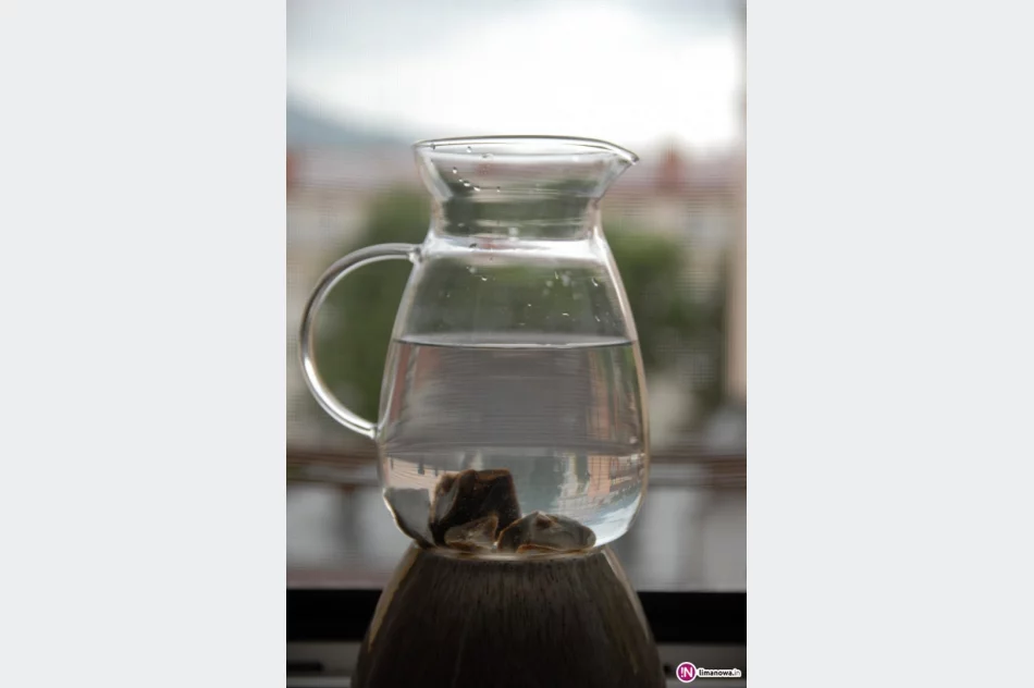 Skrzyp, krzem i bankructwa! - zdjęcie 2