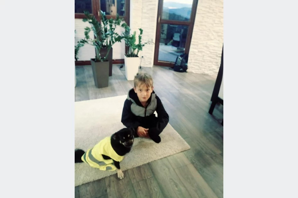 Akcja „Odblaskowe zwierzęta domowe” w Pasierbcu  - zdjęcie 12