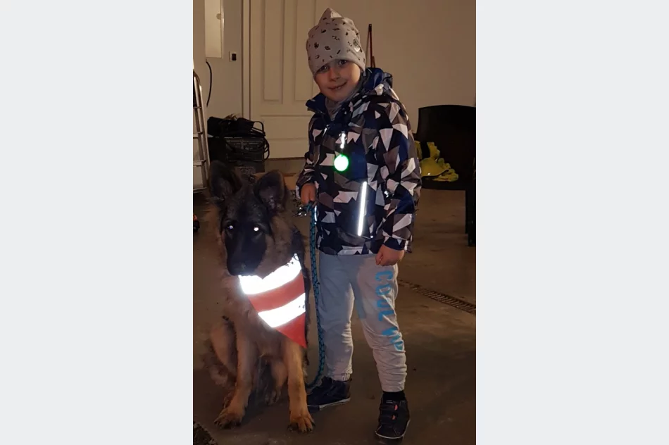 Akcja „Odblaskowe zwierzęta domowe” w Pasierbcu  - zdjęcie 13