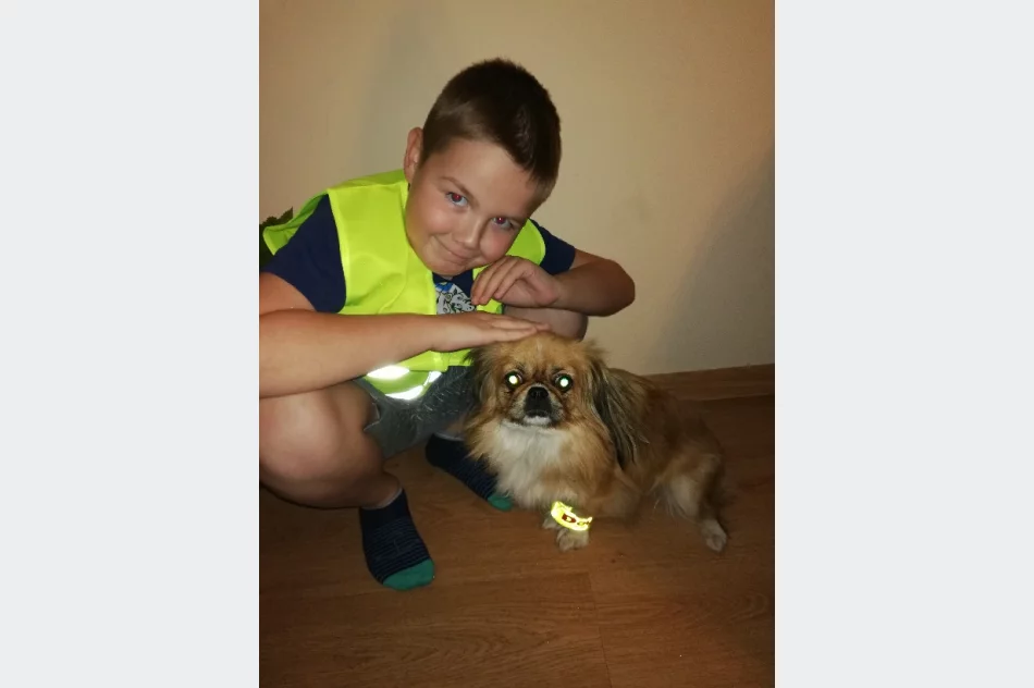 Akcja „Odblaskowe zwierzęta domowe” w Pasierbcu  - zdjęcie 14