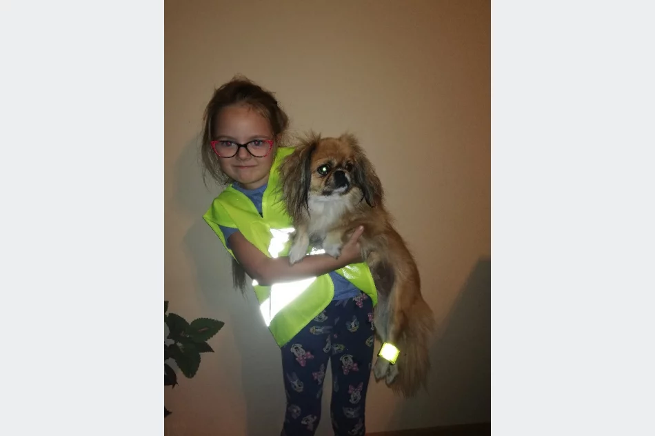 Akcja „Odblaskowe zwierzęta domowe” w Pasierbcu  - zdjęcie 15