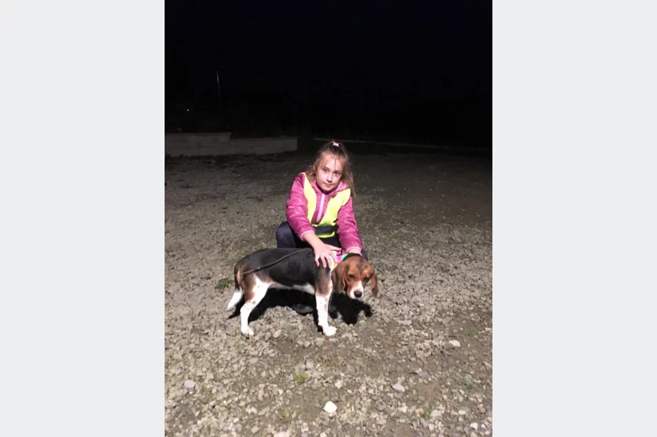 Akcja „Odblaskowe zwierzęta domowe” w Pasierbcu  - zdjęcie 17