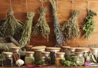 Zioła jako forma profilaktyki zdrowia - zdjęcie główne