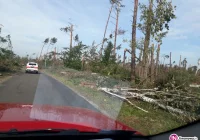 Limanowscy strażacy pomagają w usuwaniu skutków wichur na Pomorzu - zdjęcie główne